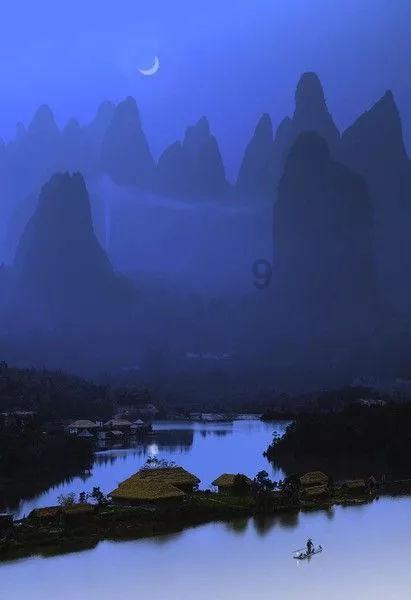 玩转虎鲸吃鲨鱼吗？鲨鱼真的怕虎鲸吗？，尽享知识星球乐趣！