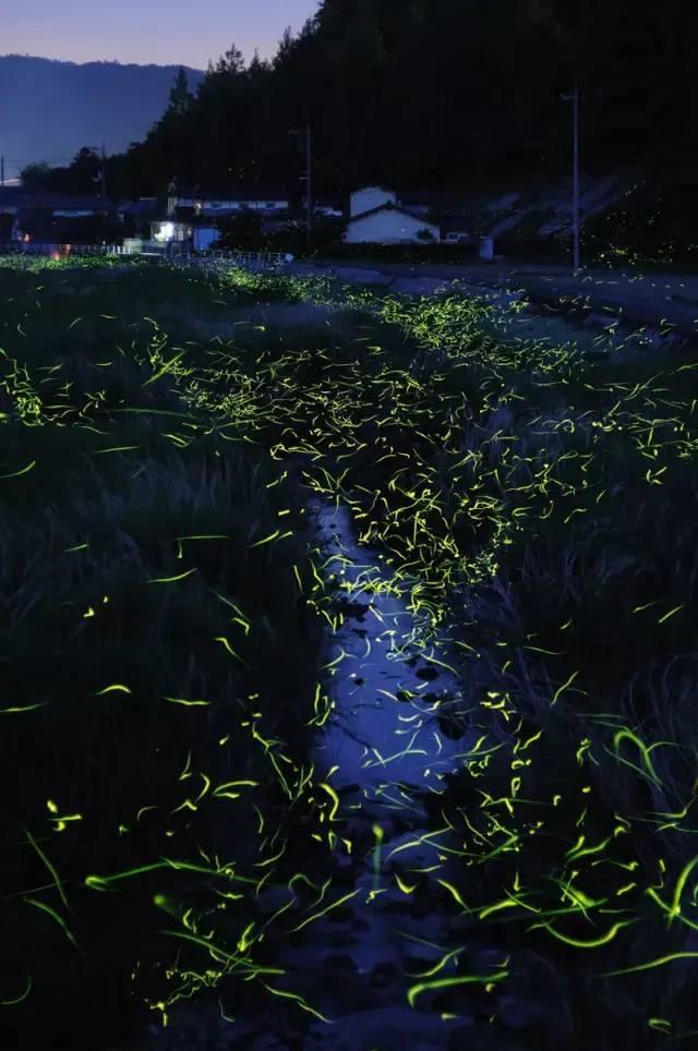 逃出海洋城堡
