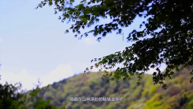 你知道哪些关于百慕大三角的电影？好看吗？游戏画面
