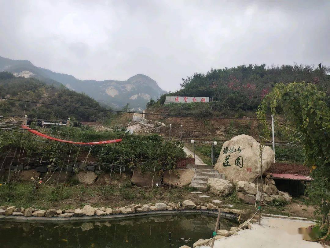 斯大林死后，他的次子结局有多惨？曾给赫鲁晓夫下跪求饶