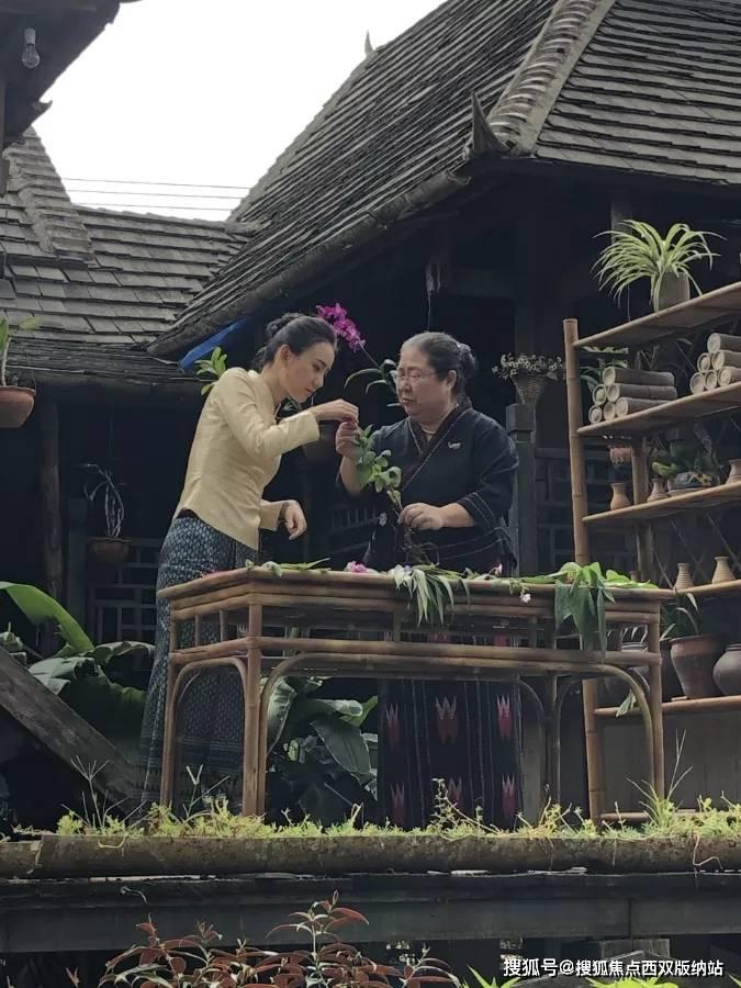 列车有必要设置携带儿童车厢吗？游戏画面